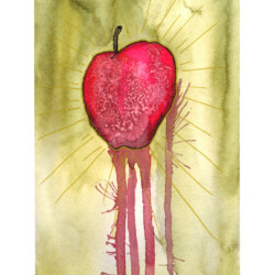 Apple of Sodom