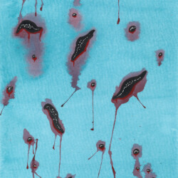 Ticks & Leeches