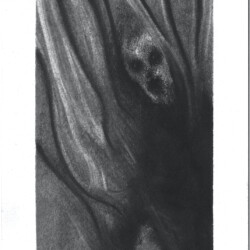 Serenity Painted Death